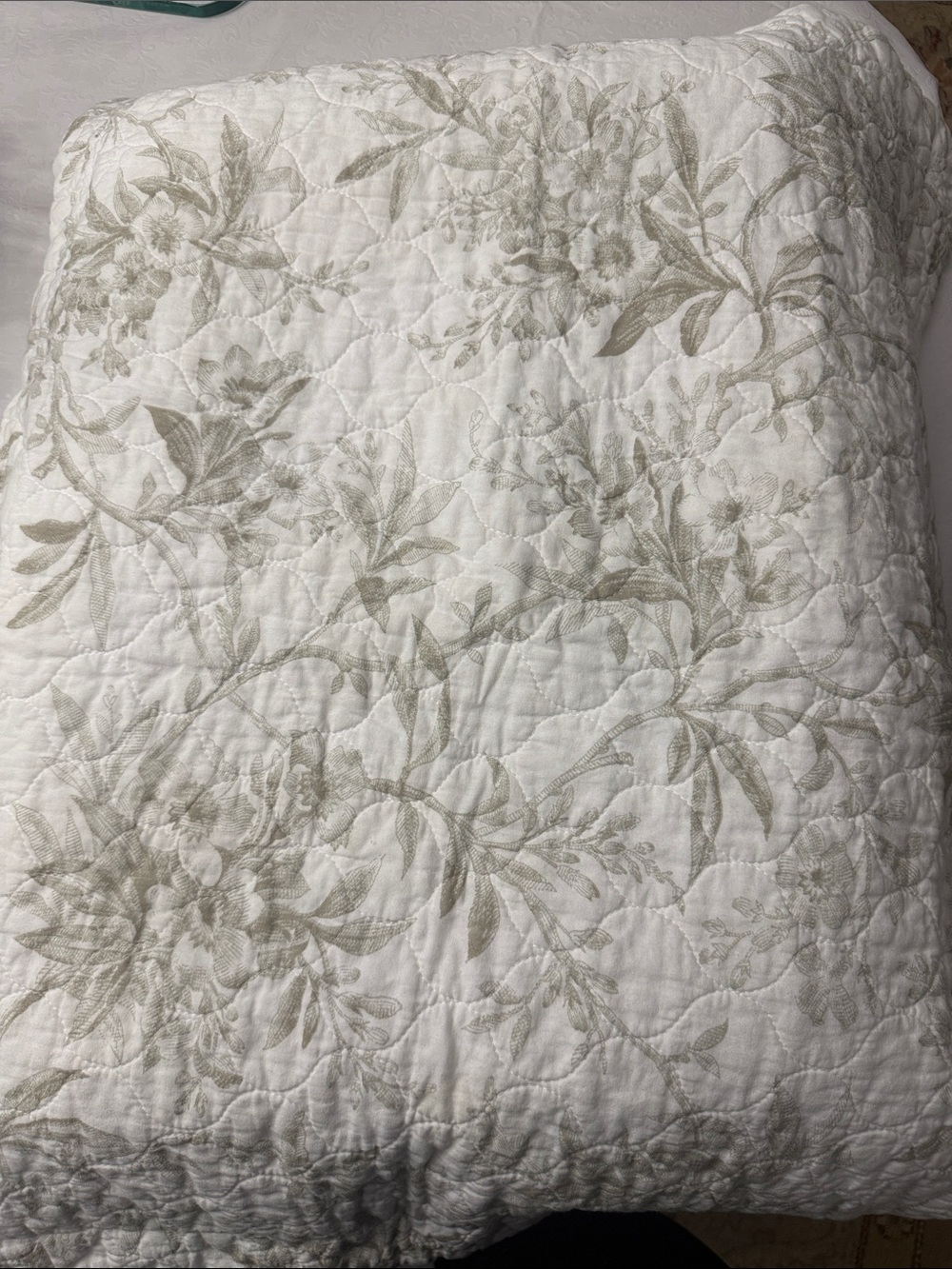 Laura Ashley Twin Quilt & Sham in Cream and Sage Green Floral - Picture 3 of 5